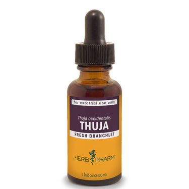 Thuja - My Village Green